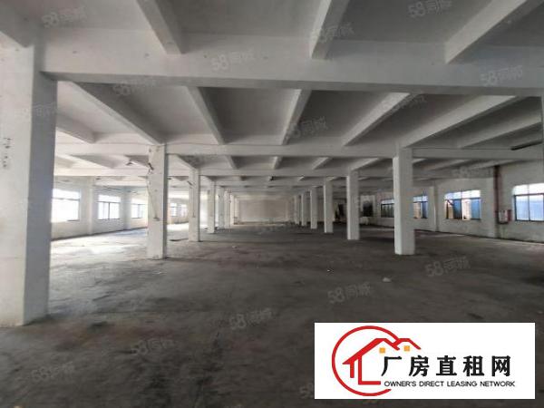  清溪浮岗标准一楼1300平招租现成装修可分租可办环评