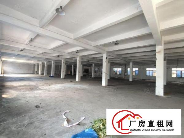  清溪浮岗标准一楼1300平招租现成装修可分租可办环评