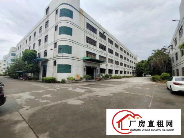  清溪浮岗标准一楼1300平招租现成装修可分租可办环评