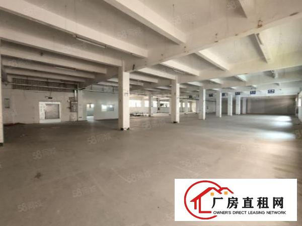  清溪浮岗标准一楼1300平招租现成装修可分租可办环评