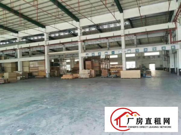  清溪镇大利村新出5500平方滴水9米高钢结构厂房出租