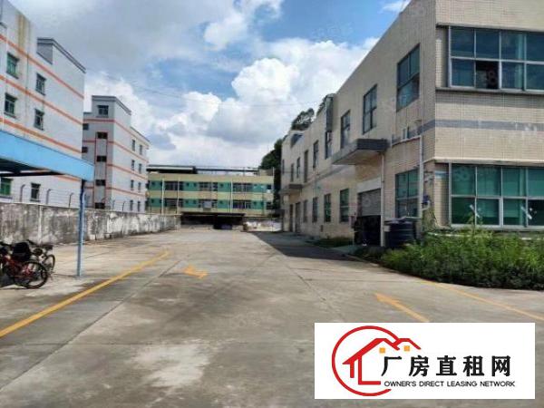  清溪三中主干道旁新出一楼标准厂房1300平，现成装修水电齐全