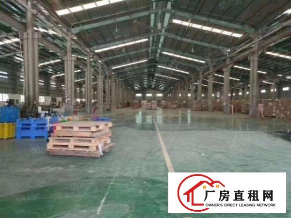  清溪正规物流场地单一层13000平出租，滴水10米带卸货平台