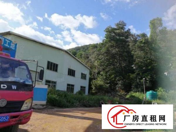  清溪高速出口原房东钢构独院厂房1500平方米出租7米高靠山边