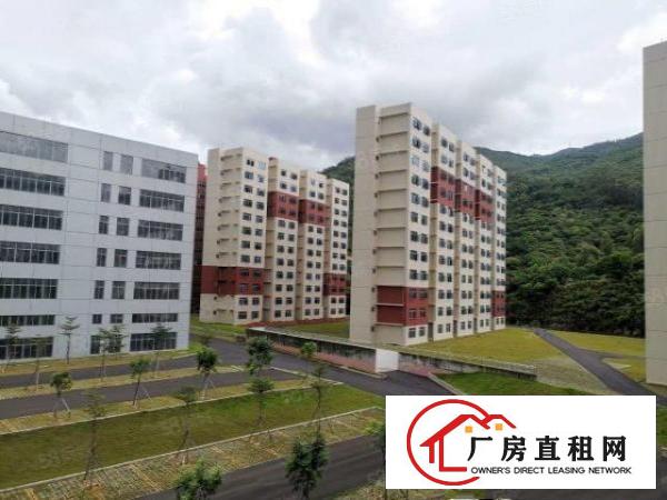  全新重工业厂房出租，规格高，交通便利，配套成熟，消防设施齐全