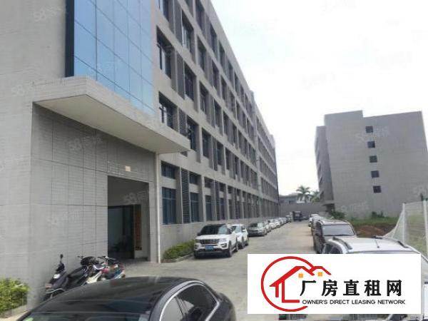  特价带装修厂房清溪新出楼上1788平方原房东无公摊厂房