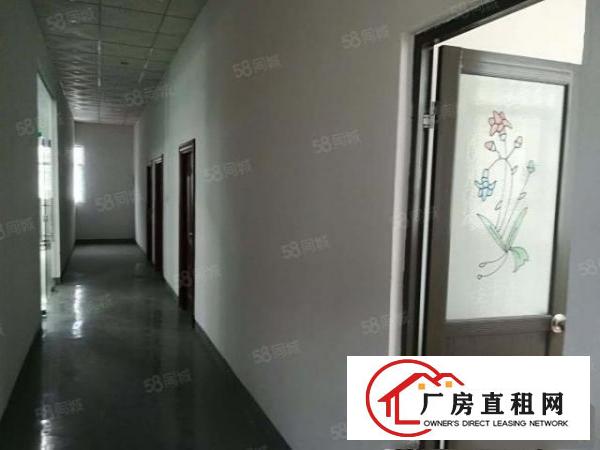  无公摊原房东清溪新出单一层钢结构600平方打包价6666
