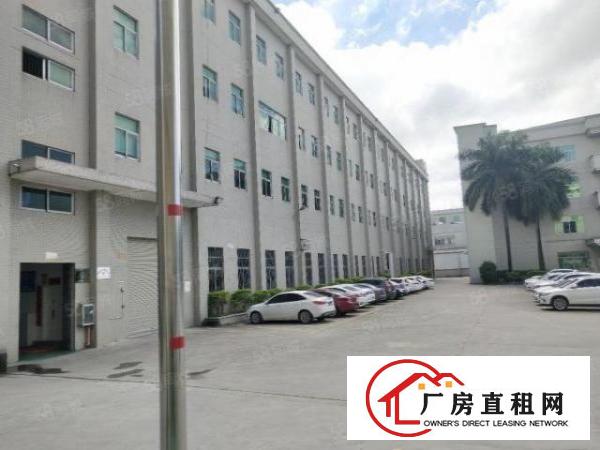  清溪原房东厂房出租1楼1100平方现成办公室水电齐全高度7米