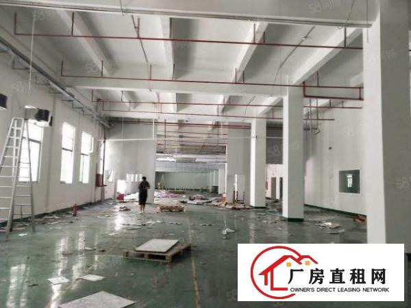  清溪原房东厂房出租1楼1100平方现成办公室水电齐全高度7米