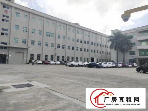  清溪原房东厂房出租1楼1100平方现成办公室水电齐全高度7米