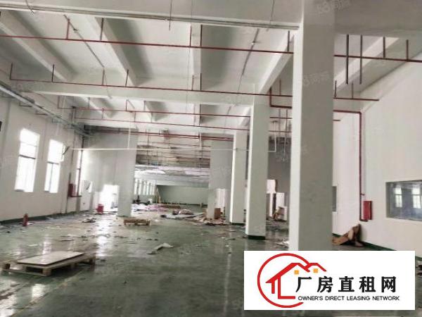 清溪原房东厂房出租1楼1100平方现成办公室水电齐全高度7米
