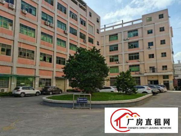  清溪青皇工业区原房东独院厂房出租楼上1260平方带现成装修