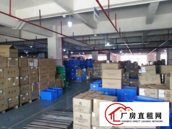  清溪青皇工业区原房东独院厂房出租楼上1260平方带现成装修