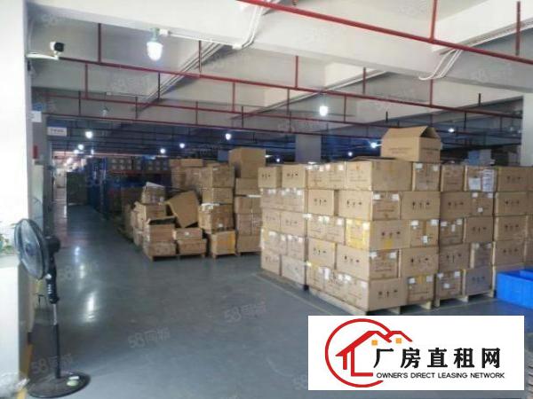  清溪青皇工业区原房东独院厂房出租楼上1260平方带现成装修