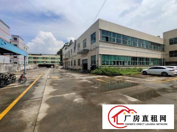  清溪渔梁围标准一楼厂房1300平招租现成装修地坪漆水电齐全
