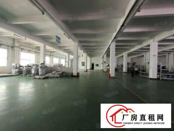 清溪渔梁围标准一楼厂房1300平招租现成装修地坪漆水电齐全