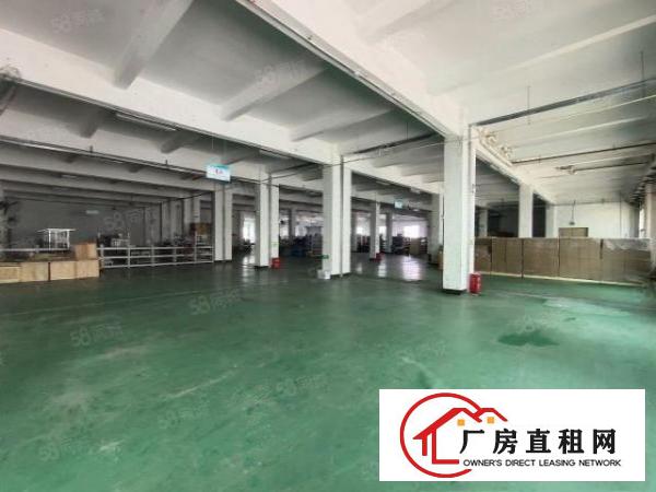  清溪渔梁围标准一楼厂房1300平招租现成装修地坪漆水电齐全