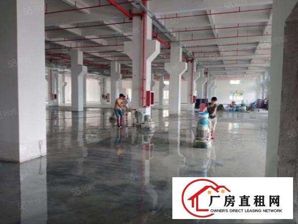  东莞清溪新出原房东带红本厂房30000平一楼层高7米带牛角