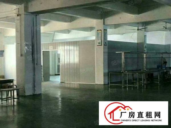  清溪可以做电池楼上厂房出租468带装修