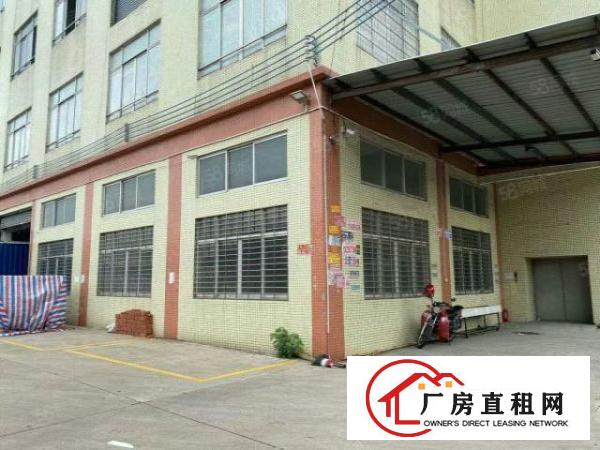  清溪三中一楼600平标准厂房，可进大车现成办公室，