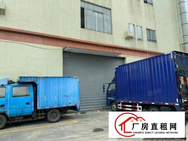  清溪三中一楼600平标准厂房，可进大车现成办公室，