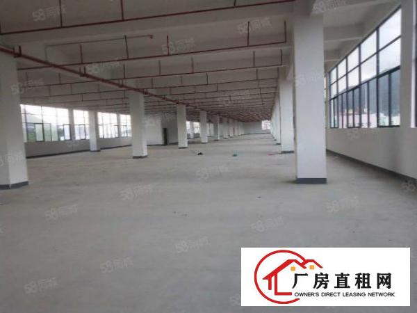  三中新出1200平标准厂房，格局方正，公摊小，急租！！