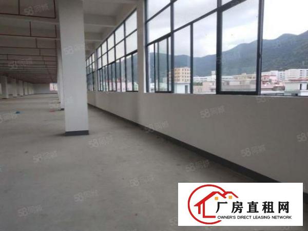  三中新出1200平标准厂房，格局方正，公摊小，急租！！
