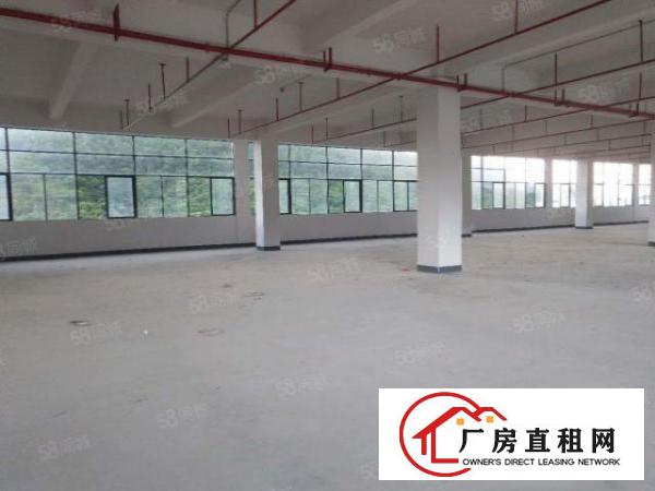  三中新出1200平标准厂房，格局方正，公摊小，急租！！