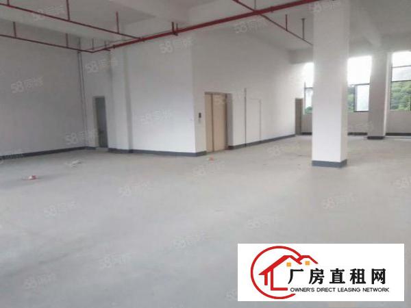  三中新出1200平标准厂房，格局方正，公摊小，急租！！