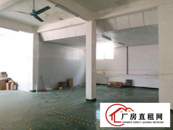  大利新空出单一层厂房450平方，带装修，位置靠近镇中心。