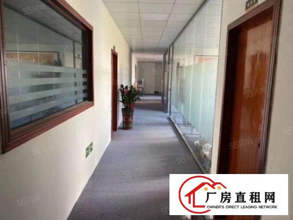  清溪浮岗新出原房东一楼460平方带水电办公急租