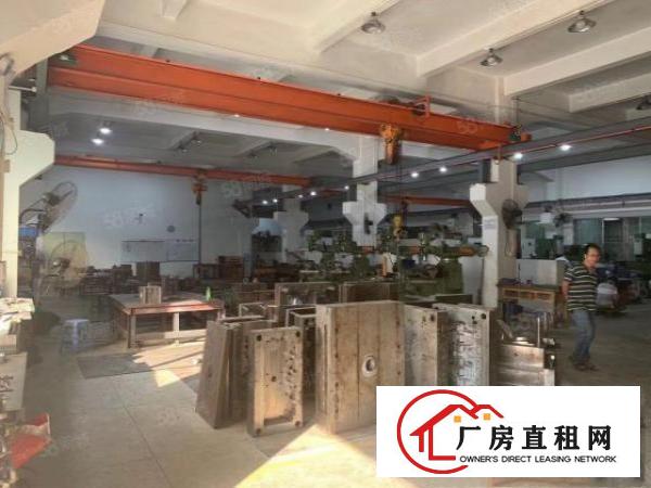  清溪浮岗新出原房东一楼460平方带水电办公急租
