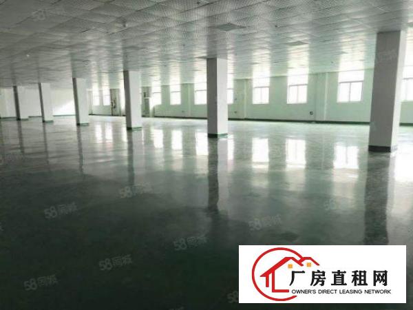  清溪镇新出标准厂房3900平方带消防喷淋和现成装修电池优先