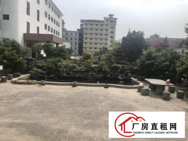  清溪镇新出标准厂房3900平方带消防喷淋和现成装修电池优先