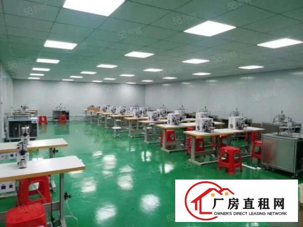  清溪镇荔横村原房东一楼800平无尘车间急租，无转让费