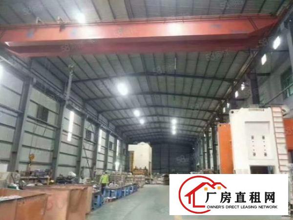  清溪镇新出单一层钢结构厂房1350平方出租，滴水12米带行车