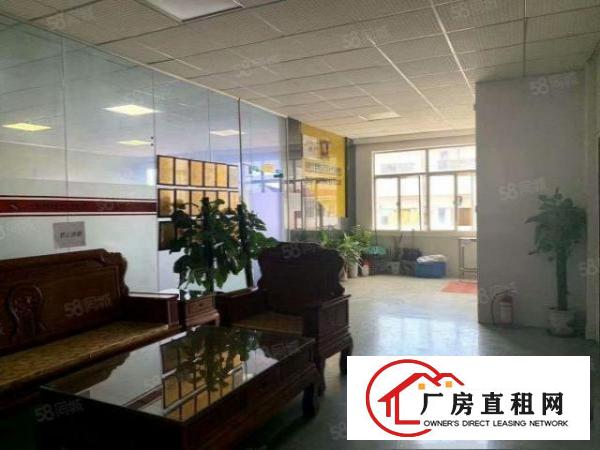  清溪镇新出单一层钢结构厂房1350平方出租，滴水12米带行车