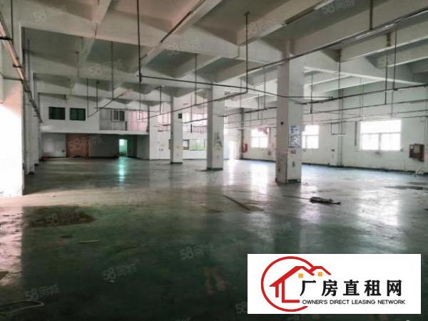  原房东厂房出租！清溪渔梁围无公摊带精装修一楼1350平方