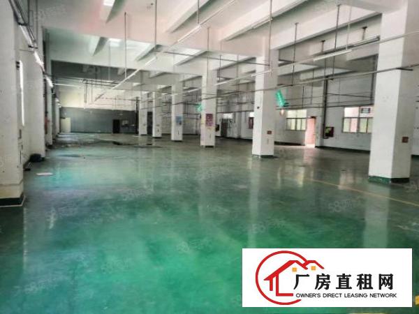  原房东厂房出租！清溪渔梁围无公摊带精装修一楼1350平方