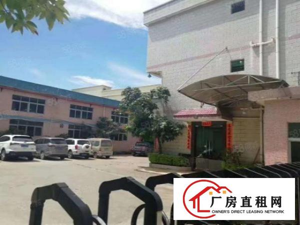  清溪铁松注塑模具冲压钢构厂房出租1800平独立变压器