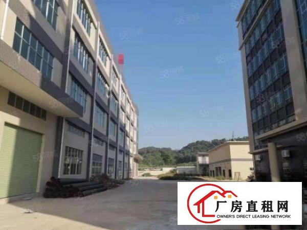  （原房东直租）清溪全新独院厂房32000平带喷淋牛角大小可分