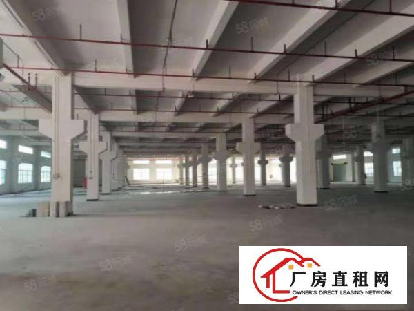  （原房东直租）清溪全新独院厂房32000平带喷淋牛角大小可分