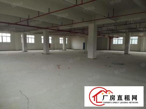  （原房东直租）清溪全新独院厂房32000平带喷淋牛角大小可分