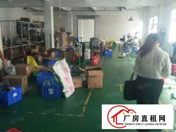  特价厂房清溪新出楼上288平方带装修厂房原房东急租