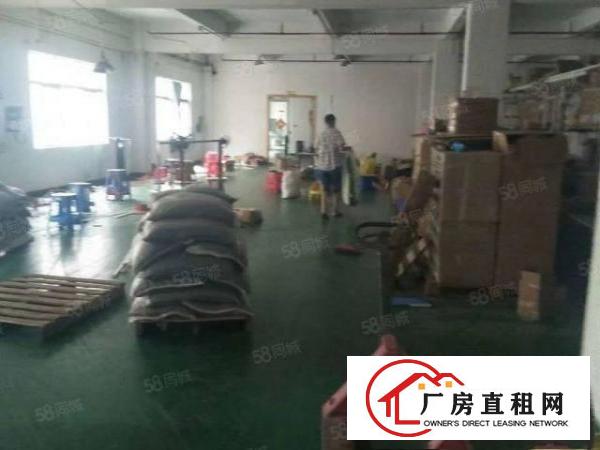  特价厂房清溪新出楼上288平方带装修厂房原房东急租