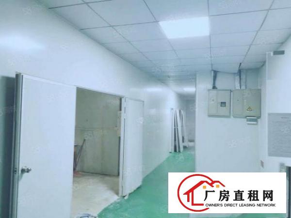  清溪镇三中村新空出无尘车间700平方，水电齐全无需转让费。