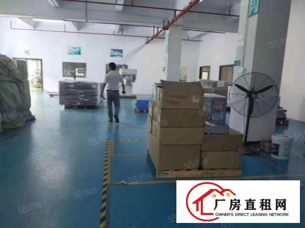  清溪三中原房东三楼精装修厂房1480平方可分租