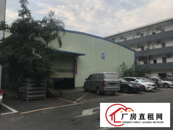  清溪镇大利村新出一楼钢构710平厂房出租。