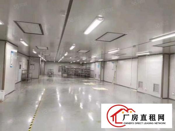  东莞市清溪现成的口罩厂房万级无尘车间4800平方高度4.5米