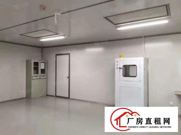  东莞市清溪现成的口罩厂房万级无尘车间4800平方高度4.5米